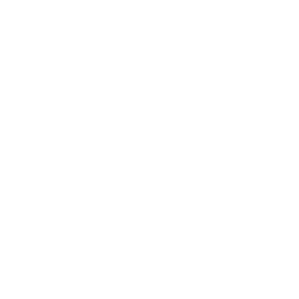 Syahsoft Logo